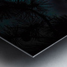 JBS 0093  Metal print