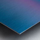 JBS 8795 Metal print