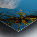 JBS 9958  Metal print