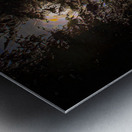 JBS 8757  Metal print