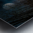 DSC 4175  Metal print