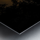 JBS 3573  Metal print