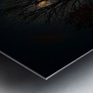 JBS 8045 Metal print