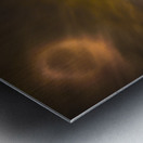 JBS 9712 2 Metal print