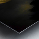 JBS 4093  Metal print