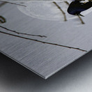 JBS 0164  Metal print