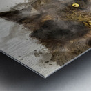 JBS 9070 Metal print