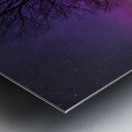 JBS 5676 Metal print