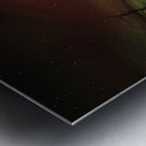 JBS 5620  Metal print