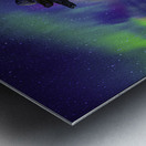 JBS 6084  Metal print