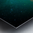 JBS 8511  Metal print