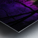 JBS 9933  Metal print