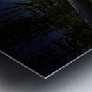 JBS 9704  Metal print