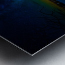 JBS 6373 Metal print