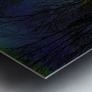 JBS 9952  Metal print