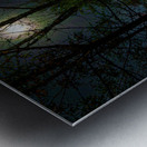 DSC 3665 1 Metal print