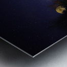 DSC 5763  Metal print