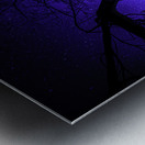 JBS 0672  Metal print