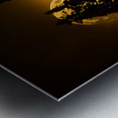 CRC 0731 Metal print