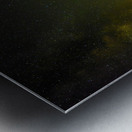 2222 Fall River Metal print