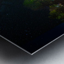 DSC 3542  Metal print