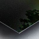 DSC 1825 Metal print