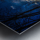 JBS 0402  Metal print