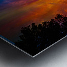 DSC 1829 2  Metal print