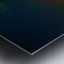 DSC 1825  Metal print