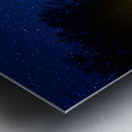 JBS 0712 2  Metal print