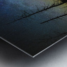 JBS 1455 Metal print