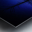 JBS 3699 3 Metal print