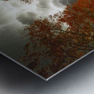 JBS 3790  Metal print