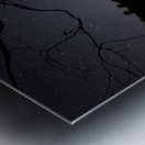 JBS 2415 comet Metal print