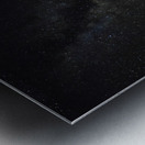 JBS 3847 Metal print