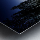 JBS 2040 Metal print