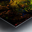 JBS 3297  Metal print