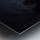 JBS 1342 Pano Metal print