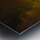 JBS 3607 Metal print