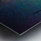 JBS 2511 Metal print