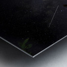 JBS 1594 Metal print