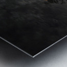 JBS 3041  Metal print