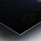 JBS 2845  Metal print