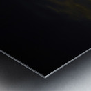 JBS 3568  Metal print