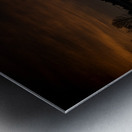 JBS 1149  Metal print