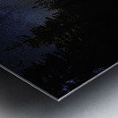 JBS 2748 Metal print