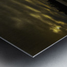 JBS 5561 Metal print