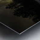 JBS 5564 Metal print