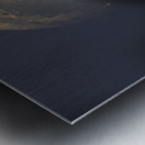 JBS 4981 2 Metal print