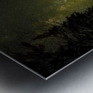 JBS 4430 Metal print